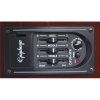 Epiphone PR-4E Acoustic/Electric Player Pack